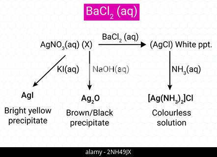 Chemical Reactivity of BaCl2 (Barium chloride) Stock Vector