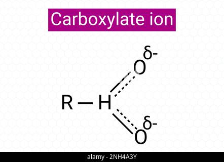 Chemical structure of Carboxylate ion Stock Vector