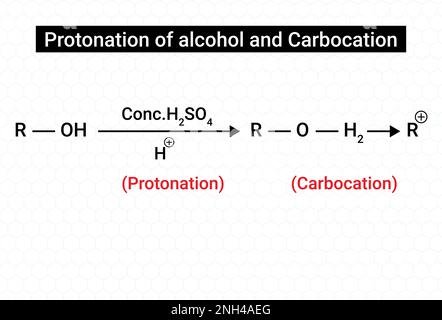 Cetyl alcohol molecule, illustration - Stock Image - F030/5197 - Science  Photo Library