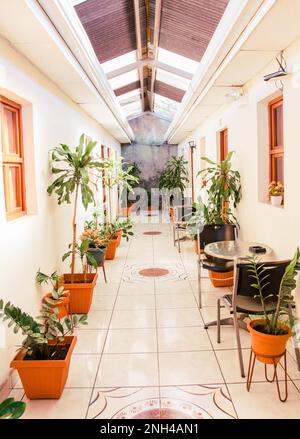 A hotel corridor with pots of natural plants. Corridors of a tropical hotel, Managua, Nicaragua Stock Photo