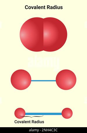 Covalent Radius: The covalent radius is half of the distance between two similar atoms joined by a covalent bond in the same molecule Stock Vector