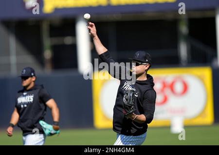 New York Yankees' Giancarlo Stanton waits for the start of a spring training  baseball workout Monday, Feb. 20, 2023, in Tampa, Fla. (AP Photo/David J.  Phillip Stock Photo - Alamy