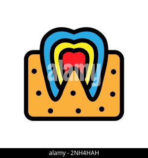 Dental anatomy icon line isolated on white background. Black flat thin icon on modern outline style. Linear symbol and editable stroke. Simple and pix Stock Vector