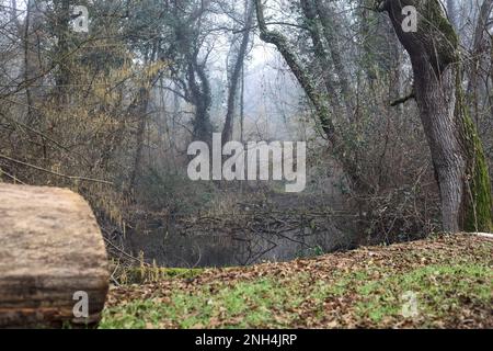 Stream  of water bordered by trees seen from a footbridge in a park on a misty day in winter Stock Photo