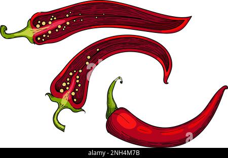 Half and whole pepper chilli , mexican food, spicy ripe red, half pod, top view Stock Vector