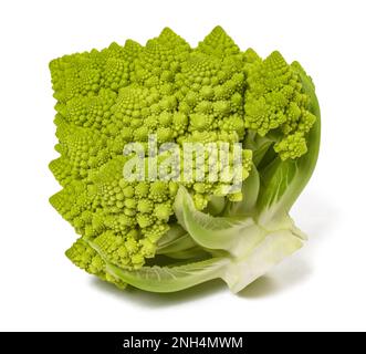 Romanesco broccoli isolated on white background Stock Photo
