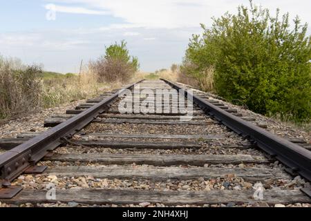 standing on disappearing railroad tracks Stock Photo