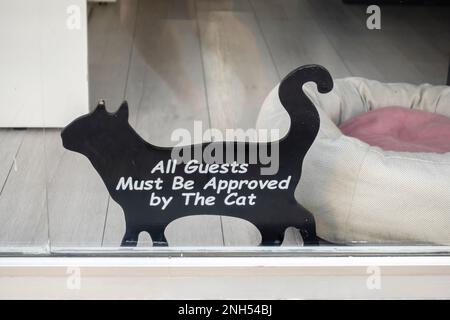 "All guests must be approved by the cat" funny cute shop window sign. Istanbul Turkey Stock Photo