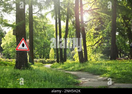 Warning sign Beware of ticks in forest on sunny day Stock Photo