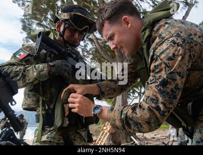 U.S. Marine Corps Capt. Connor Ernst, An Air Officer With 2nd Battalion ...