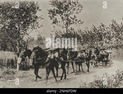 1914-1918. World War I. German transport with horse carriage in which soldiers and horses are equipped with gas masks. Stock Photo