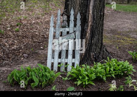 Gate with birdhouse against a tree as a yard decoration with hostas growing underneath on a spring day in St. Croix Falls, Wisconsin USA. Stock Photo