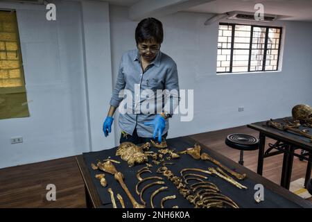 Forensic pathologist Dr. Raquel Fortun, Manila, Philippines, war on drugs Stock Photo