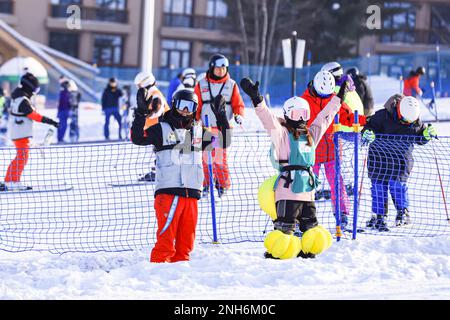 Changchun. 21st Feb, 2023. Tourists ski at Changbai Mountain Wanda International Resort in northeast China's Jilin Province, Feb. 11, 2023. TO GO WITH 'Across China: Snow sports heat up tourism in Changbai Mountain' Credit: Xinhua/Alamy Live News Stock Photo