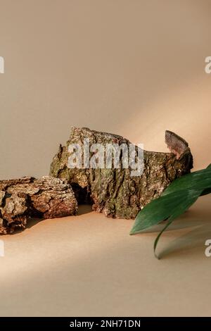 Eco composition. Nature showcase. Product presentation. Broken brown rough wood bark pieces green plant leaves arrangement on beige empty space backgr Stock Photo