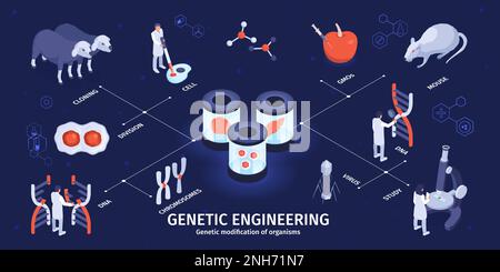 Isometric genetic engineering infographics with cells cloning and virus studies vector illustration Stock Vector