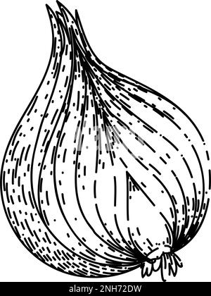 onion red sketch hand drawn vector illustration Stock Vector