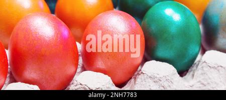 Brightly colored Easter eggs in egg carton holder, holiday banner background Stock Photo
