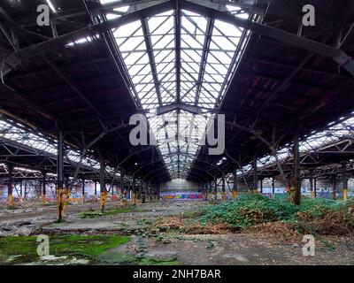 Huge abandoned factory with damaged skylight roof and blackberry bushes growing inside. Stock Photo