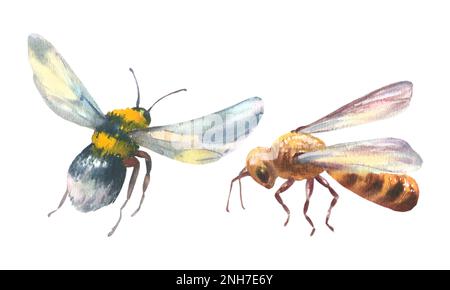 Two Incects Set of cute bees. Black and white coloring page Stock Photo - Alamy