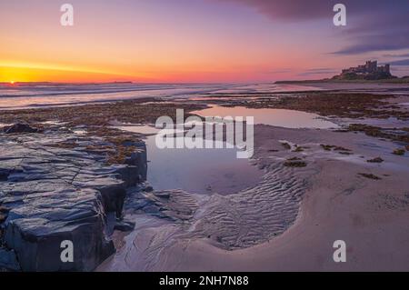 Bamburgh Castle and Bamburgh beach at dawn in mid-summer, looking towards the Farne Island, Northumberland, England, United kingdom Stock Photo