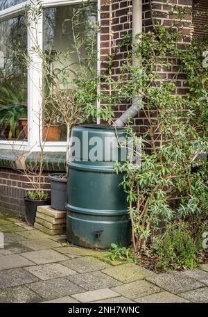 Rain barrel for rainwater harvesting surrounded by pot plants in front of dutch house Stock Photo