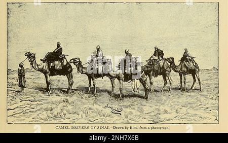 Camel Drivers of Sinai from Cyclopedia universal history : embracing the most complete and recent presentation of the subject in two principal parts or divisions of more than six thousand pages by John Clark Ridpath, 1840-1900 Publication date 1895 Publisher Boston : Balch Bros. Volume 6 History of Man and mankind Stock Photo