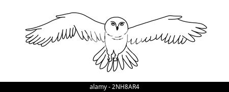 White owl in outline cartoon doodle style. Hand drawn vector illustration isolated on white background. Stock Vector