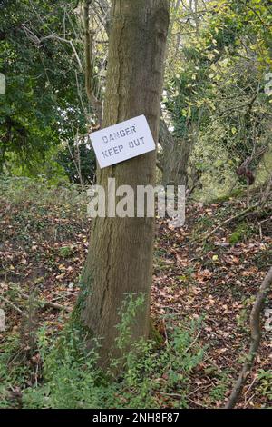 Danger Keep Out sign nailed to a tree trunk Stock Photo - Alamy