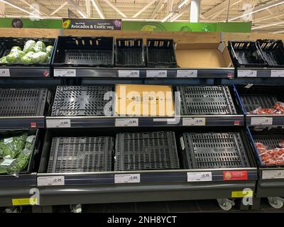 Taplow, Buckinghamshire, UK. 21st February, 2023. There were lots of empty spaces today in the fruit and vegetables isles in Sainsbury's at Taplow, Buckinghamshire. Some farmers in the UK are reported to have switched off the electricity supplies to their greenhouses due to the high costs of heating them. The weather in Europe is also having an impact on the growing of fresh fruit and veg which in turn is impacting upon the supply chain. Credit: Maureen McLean/Alamy Live News Stock Photo