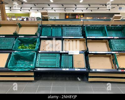 Taplow, Buckinghamshire, UK. 21st February, 2023. There were lots of empty spaces today in the fruit and vegetables isles in Tesco at Taplow, Buckinghamshire. Some farmers in the UK are reported to have switched off the electricity supplies to their greenhouses due to the high costs of heating them. The weather in Europe is also having an impact on the growing of fresh fruit and veg which in turn is impacting upon the supply chain. Credit: Maureen McLean/Alamy Live News Stock Photo