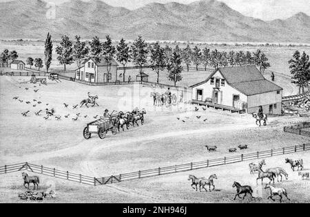 A settler ranch in the American West. Farm of W. R. Lee, Esmeralda County, Mason Valley, Nevada. Illustration by Myron Angel, 1881./n Stock Photo