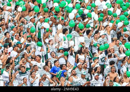 SÃO PAULO, SP - 04.02.2023: PALMEIRAS X SANTOS - Sandry in the match  between Palmeiras X Santos, valid for the 6th round of the Campeonato  Paulista de Futebol, Série A, 2023, held