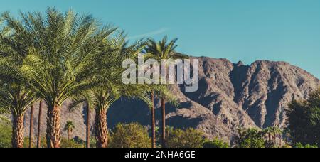 California Coachella Valley Landscape with Palms and Mountains. Stock Photo