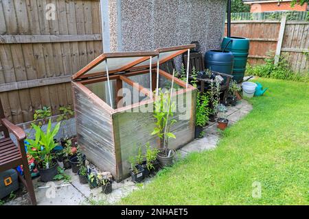 A home-made cold frame with plants and water butts in a domestic garden, England, UK Stock Photo