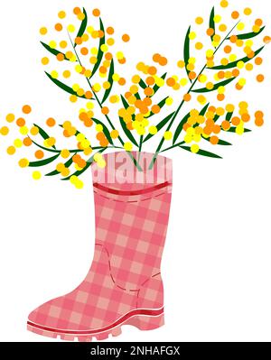 Bouquet of mimosa flowers put on checkered rubber boots footwear Wellies Wellington boots colored on red Stock Vector