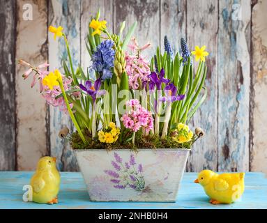 Fresh beautiful spring flowers in vintage pot and Easter decorations on the wooden table. Easter decor for home. Stock Photo
