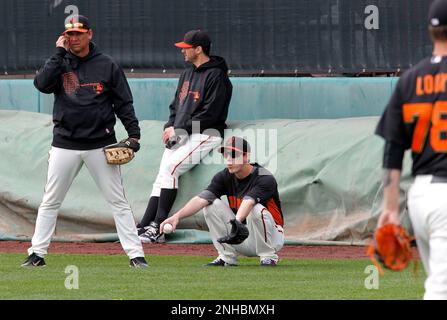 Giants vs. Tigers, World Series: Tim Lincecum, Barry Zito paint surreal Cy  Young comeback picture - SB Nation Bay Area