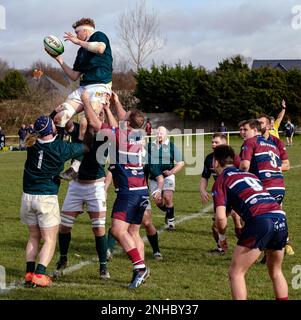 Old Patesians RFC vs Widden Old Boys RFC Rugby Union match Stock Photo