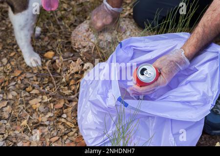 Environmentalist man with his dog throwing a can picked up in the field into a garbage bag Stock Photo