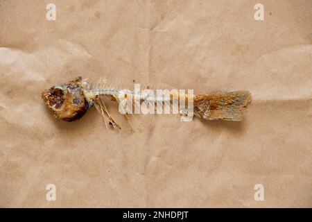 fried fish skeleton on brown background close up Stock Photo