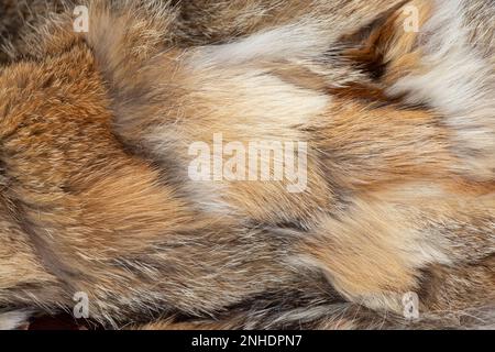 fur coat from pieces of fur of different animals as a background Stock Photo