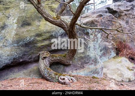 Pictures of the Devil's Wall near Blankenburg in the Harz Mountains Stock Photo