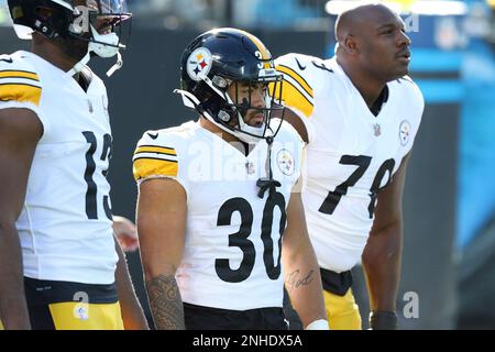 CHARLOTTE, NC - DECEMBER 18: Pittsburgh Steelers quarterback Mitch Trubisky  (10) during an NFL football game between the Pittsburg Steelers and the  Carolina Panthers on December 18, 2022 at Bank of America