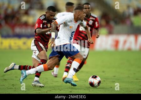 Campeonato Carioca De 2023 Flamengo Vs Audax Rio Imagem de Stock - Imagem  de torneio, ativo: 266255697