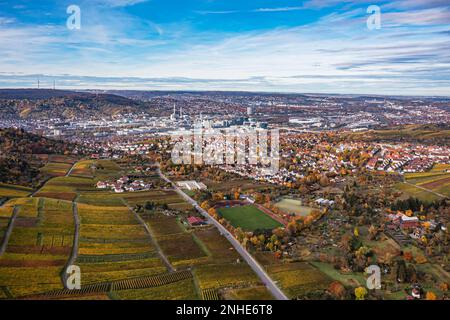 Vineyard in autumn, the vines show themselves in bright colours, view of Stuttgart, on the left the Mercedes-Benz Group AG plant, on the right the Stock Photo