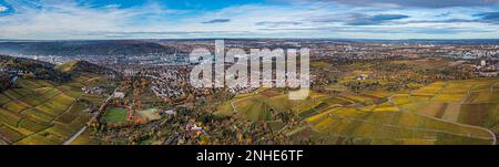 Vineyard in autumn, the vines show themselves in colourful colours, view of Stuttgart, on the left the Mercedes-Benz Group AG plant, in the centre Stock Photo