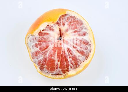 Red-fleshed chinese grapefruit (Citrus maxima) Stock Photo