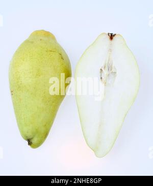 European pear (Pyrus communis) Stock Photo