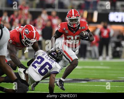 INGLEWOOD, CA - JANUARY 09: Georgia Bulldogs linebacker Marvin Jones Jr.  (7) during the Georgia Bulldogs game versus the TCU Horned Frogs in the  College Football Playoff National Championship game on January